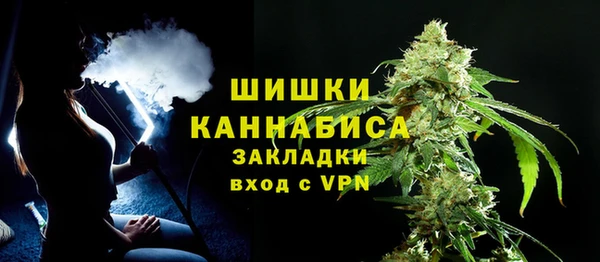 стаф Туринск