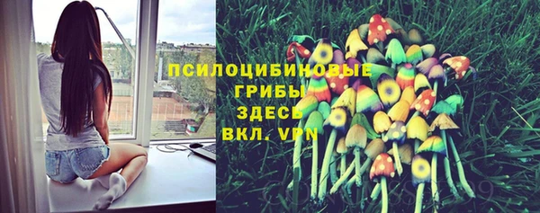 а пвп мука Белокуриха