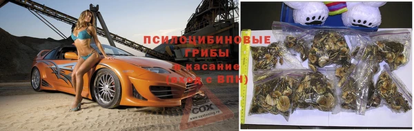а пвп мука Белокуриха